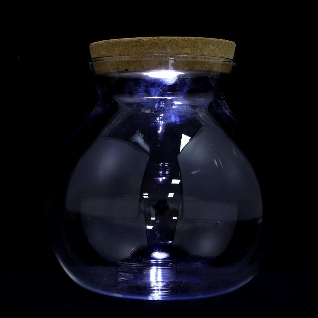 Minkissy Flaschengarten Glas mit LED Pflanzglas mit Deckel aus Borosilikatglas Deko Glas Terrarium Mini Aquarium Vivarium für Pflanzen DIY