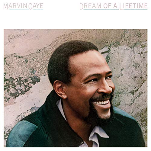 Album Art for Dream Of A Lifetime [Limited 180-Gram Transparent Blue Colored Vinyl] by Marvin Gaye