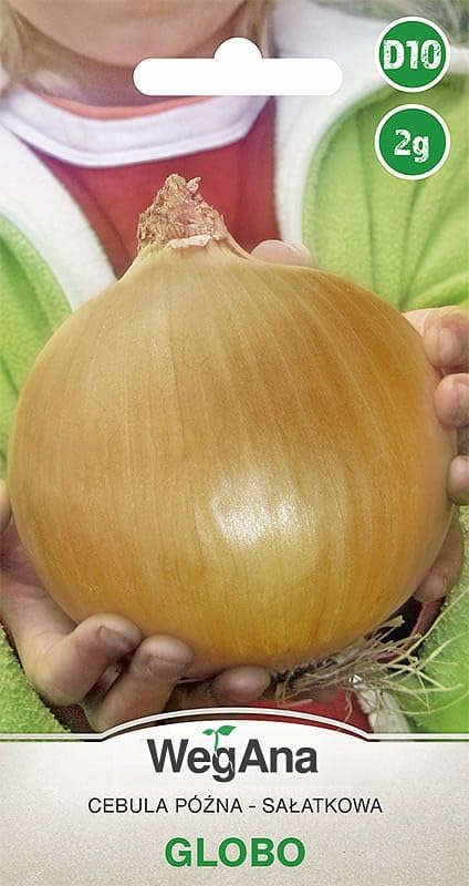 WegAna Oignon Globo Graines 2g Oignon de légumes Graines de variétés tardives, graines de légumes robustes, graines de légumes, graines de culture