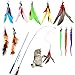 Hianjoo 12PCS Giochi con Piume per Gatto, Giocattoli Interattivi per Gatti 2 Bacchette per Gatti Retrattili Divertenti e 10 Teaser di Piume di Ricambio con Campana