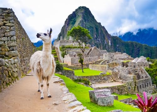 Fondo para fotografía Machu Picchu 7x5 ft miniatura 1