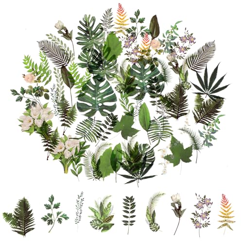 120 Stück Blumen Scrapbooking Aufkleber,Transparente Pflanzen Aufkleber, Vintage Bunte Blumenaufkleber,PET Wasserfeste Flower Stickers für Scrapbook Fotoalbum Tagebücher Karten