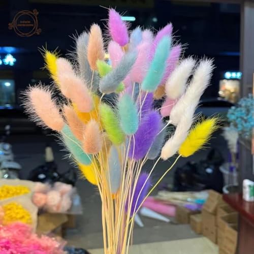 Pampas Grass Decor Tall 60Pcs Flores Secas Decorativas miniatura 2