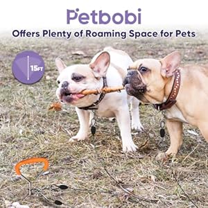 Petbobi Dog Tie out Cable and Stake  15 Ft Heavy Duty Reflective Cable with Spring  No Tangle 16 Inch Ground Stake  for Yard Camping Beach  for Small Medium Dogs Up to 20 Lbs Pawbone  Cucciolini Doodles Petbobi dog tie out cable and stake  15 ft heavy duty reflective cable with spring  no tangle 16 inch ground stake  for yard camping beach  for small medium dogs up to 20 lbs pawbone   cucciolini doodles