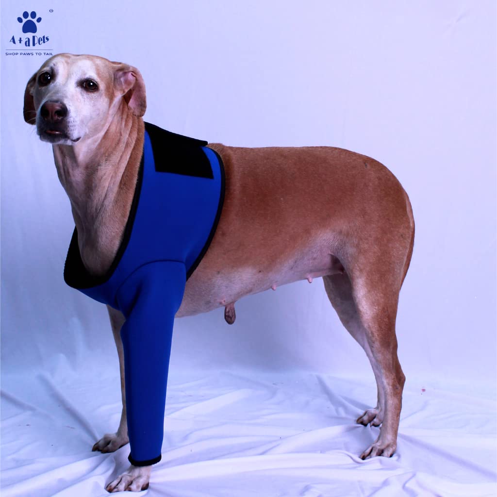 A+a Pets Dog Recovery Sleeves for Front Legs (Size1) (B0BPM8MJH8) Amazon Price History, Amazon Price Tracker