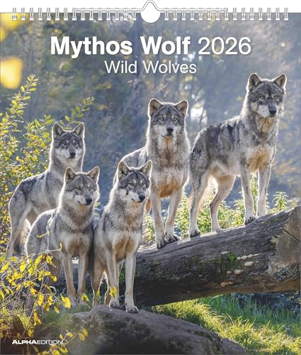 Mythos Wolf 2026 - Foto-Kalender - Wand-Kalender - 30x34: Wild Wolves
