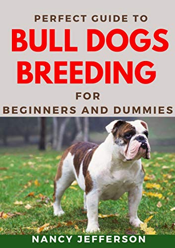 dog breeding for beginners