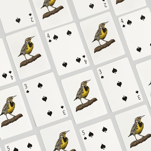 Lantern Press Meadowlark Bird, 52 cartas poker para adultos miniatura 4