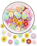 100 Pieces Assorted 5 Sizes Daisy Flower Resin Charms Plastic Beads Flatback Cabochons Embellishment for Jewelry Making Cardmaking Scrapbooking Hair Accessories DIY Craft (Multi)