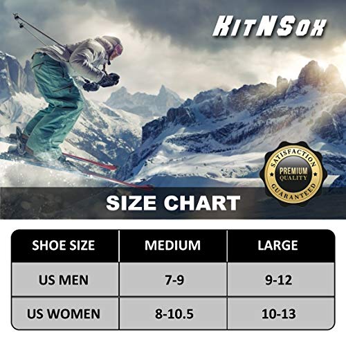 KitNSox Athletic Thermal Warm Socks Winter, Winter Extremes Cold Weather Snowboarding Trekking Skiing Boot Socks,Medium, 2 Pairs Deep Gray Stripe & light Gray Stripe3
