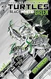 Teenage Mutant Ninja Turtles: Black, White, and Green #1 (of 4)