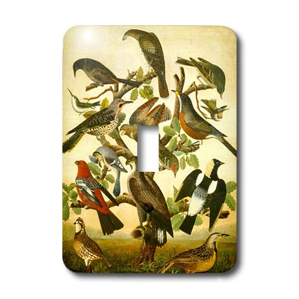 Image de Vintage 1840 Oiseau cache interrupteur pour remplacer les plaques blanches ternes