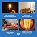 Basics Hardware Edison Light Bulb | Antique Vintage Style Light | Amber Warm Incandescent | (4 Globe Bulbs)