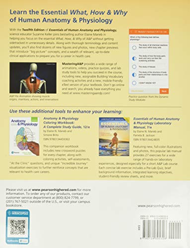 Pearson ILLUSTRATED Essentials Of Human Anatomy & Physiology thumb #1