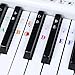 Piano Keyboard Stickers for 88/61/54/49/37 Key.Colorful Bigger Letter,Thinner Material,Transparent Removable,with Cleaning Cloth