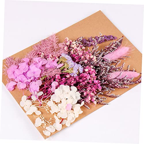 Flores secas decorativas para manualidades DIY miniatura 6