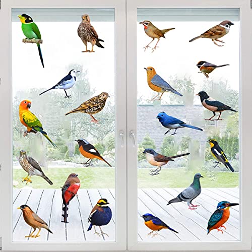 Vinilos Decorativos 3D Pájaro Impermeables Vinilo Autoadhesivo miniatura 6