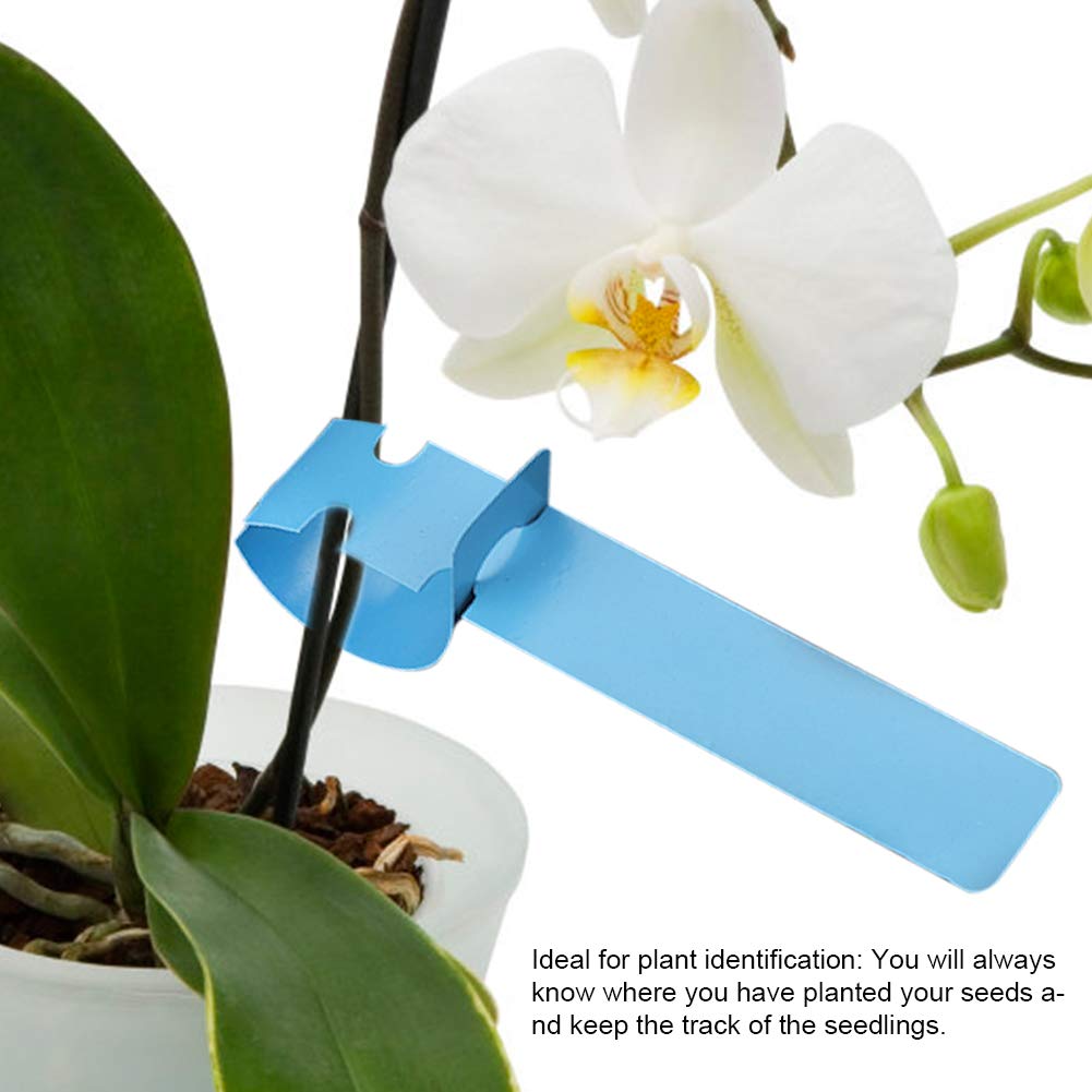 Confezione Da 100 Etichette A T Per Piante In Plastica – Marcatori Da Vaso Per Giardino