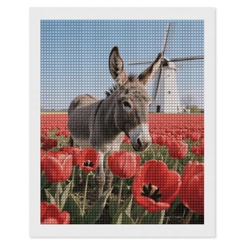 Kit peinture diamant 5D carré complet maccbn 40x50 cm avec outils de perçage inclus