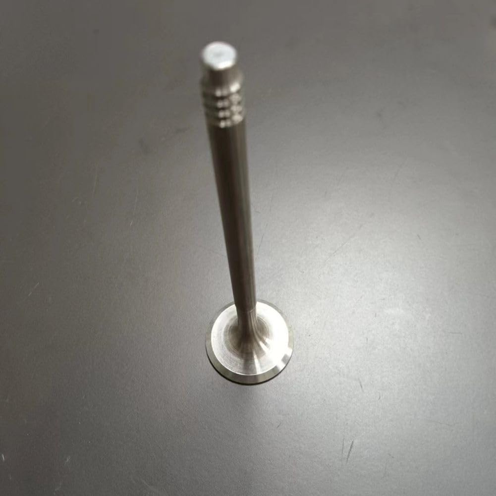 1 PC/Set of Exhaust Valve 11347553774 (MOLEI-AUTO)
