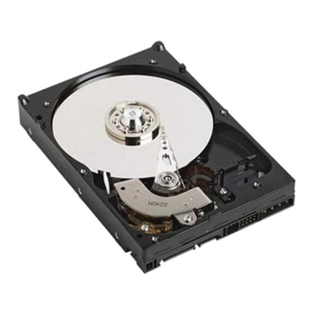 Amazon.com: Dell 1 TB 3.5