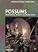 Produktbild Possums of Australia: The Brushtails, Ringtails and Greater Glider (Australian Natural History Series)