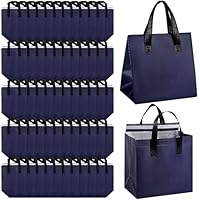 100 Stück Isolierte Take Away Taschen, Thermotaschen Wiederverwendbar in Großpackung Kühltragetaschen für Lebensmittel-Lieferung warme & kalte Speisen Restaurant Einkaufen Picknick (24 x 15 x 24)