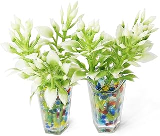 Odoria 1/12 Miniature Potted Plants 2Pcs Dollhouse Decoration Accessories, Multicolored