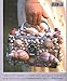 Shell Chic: The Ultimate Guide to Decorating Your Home With Seashells