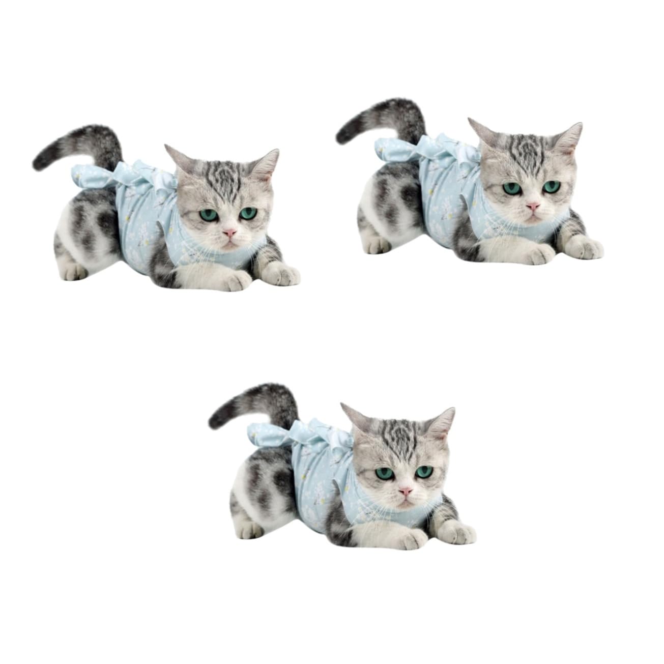 Ropa de para gatos en diseño de flor de ciruelo azul para descanso en el hogar