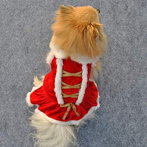 Dog Cheerleader Outfit Design Christmas Santa Apparel Costumes Clothes Clothing Dog Doggy Pet Pet Clothes Dog Tutu Dresses For Large Dogs Girl (Red, Xs) #TOP5