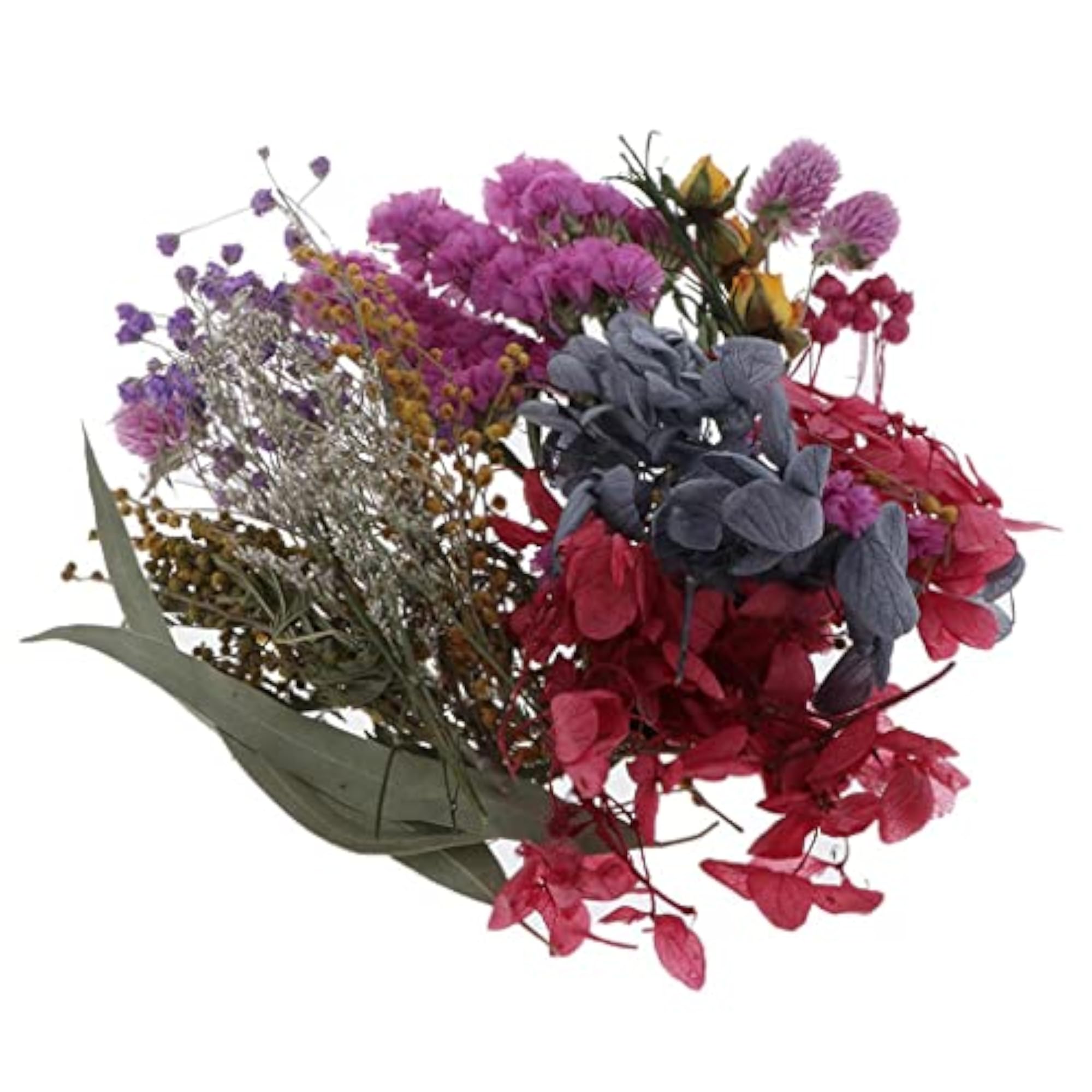 Natural Pressed Dried Flowers Leaves for DIY Art Craft