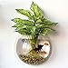 kathson Home Decoration Pot Wall Hanging Mount Bubble Aquarium Bowl Fish Tank Aquarium(White,7.2in H:3.3in) (White)