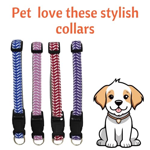 Image of Emily Pets Cat Collar Breakaway for Cats Boy & Girl Cat Collars Kitten Collar - Break Away Collar for Cats - Breakaway Cat and Kitten Collar (Color May Vary, 1 Piece)