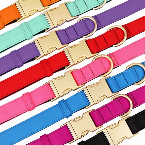 Didog Hundehalsband aus Nylon, weich gepolstert, strapazierfähiges Hundehalsband mit Schnellverschluss-Metallschnalle, leichtes und atmungsaktives Hunde Halsband für große, mittelgroße,Schwarz,L