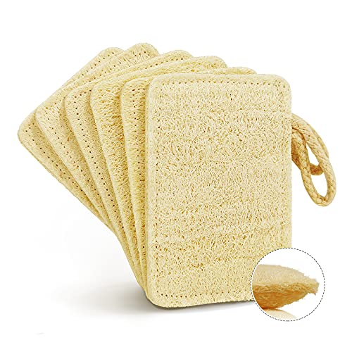 Épurateur d'éponges à Vaisselle en luffa Naturel (Paquet de 6), éponge de Nettoyage Anti-Rayures, éponge de luffa biodégradable en Fibre végétale Verte et écologique Cover