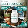 Multi Collagen 180 Protein Capsules - Type I, II, III, V, X Collagen Pills - Proprietary Blend of Eggshell, Chicken, Wild Fish & Grass-Fed Beef Collagen Peptides - 2025mg per serv