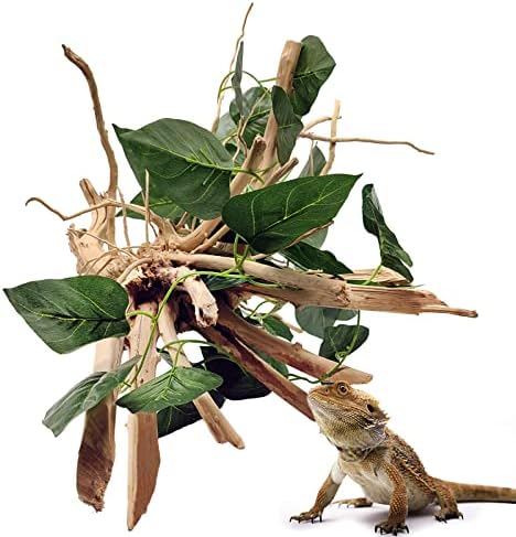 Hamiledyi 爬行动物浮木大型攀岩树枝两栖树干原木装饰水族箱天然浮木装饰蜥蜴 Gecok 蛇胡须龙青蛙鬣蜥变色龙