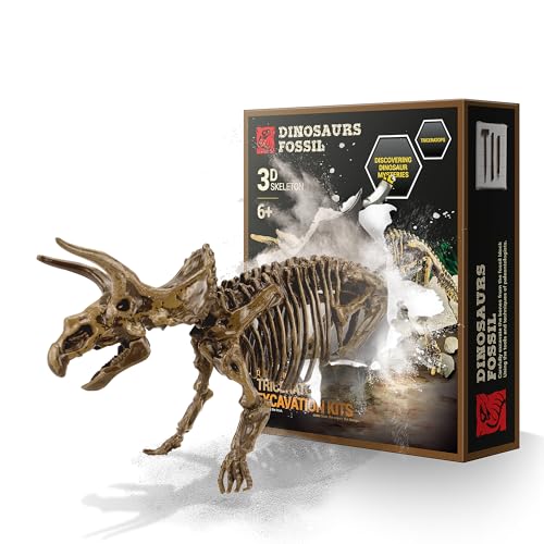 MUSCCCM Triceratops Ausgrabungsset für Kinder, dino Spielzeug, 3D-Skelett Dinosaurien-Modell, Dino Party und Kindergeburtstag-Geschenk