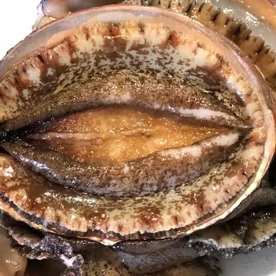 八幡浜発!竹中水産の「アワビ三昧、中サイズ」400g(鯛もしくはアジとセット)(F22-215)