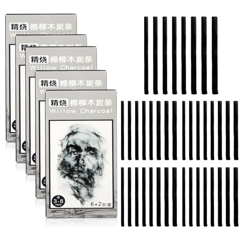 40 Stück Zeichenkohle Glatt und Flüssig Kohlestifte Zeichnen Nicht Leicht Zerbrechlich Zeichenkohle aus Weidenholz Vielseitige Schwarze Zeichenkohles für Künstlerische Arbeiten Skizzen Kunstskizzen