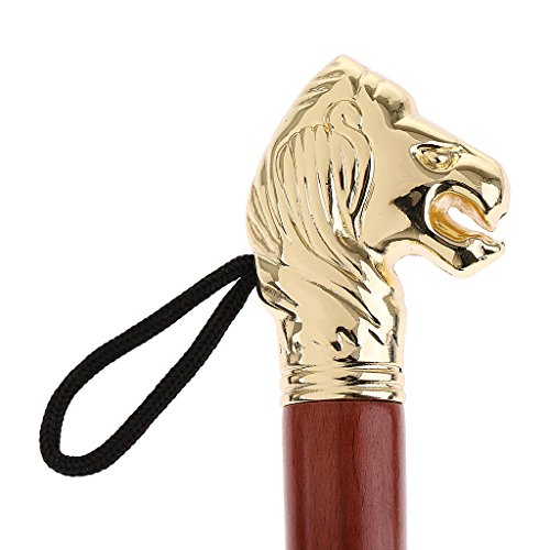 gazechimp Chifre De Sapato Longo Lidar Com Calçadeira De Metal Durável E Leve Sapatos Chifre 32 Cm