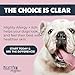 Mighty Paw Waggables Allergy Immune + Itch (Made in The USA) -Dog Chews Anti-Itch for Dogs. Allergy Support Vitamins for Skin and Coat Allergies. Omega 3 & Quercetin for Pets 120 Ct