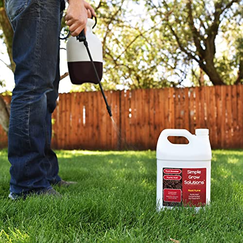 Simple Lawn Solutions KARCUSINY Root Hume- Simple Grow Solutions - Concentrated Humic Acid - Liquid Carbon - Simple Grow Solutions- Natural Lawn & Garden Treatment - Plant Food Enhancer- Turf Grass Soil Conditioner thumb #5
