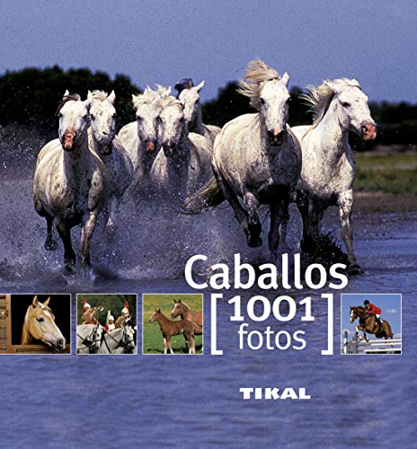 Caballos (1001 Fotos)