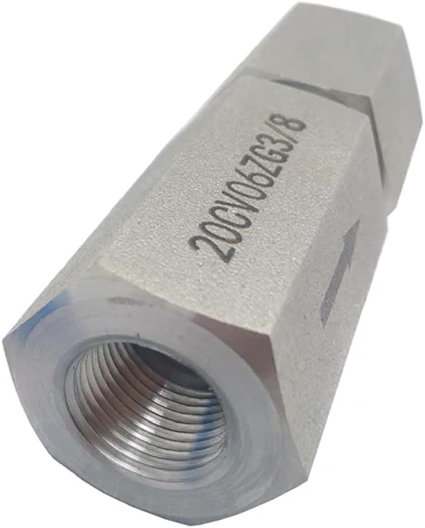 138 Mpa One Way Valve 3/8" Stainless Steel DN10 Female Thread Check Valves
