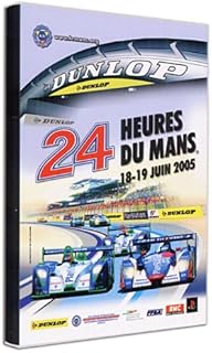 24 Heures du Mans, 18 - 19 juin 2005