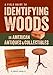 A Field Guide to Identifying Woods in American Antiques & Collectibles