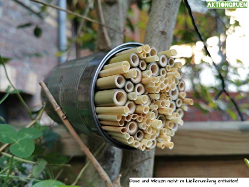 Bambusröhrchen Wildbienenhotel Insektenhotel Bastelsachen (70 Stück) 12cm mit Lehmpulver – Bild 8