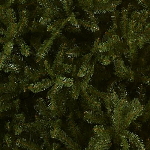 Image of National Tree Company 10 ft Unlit Dunhill Fir Full Artificial Christmas Tree, 5,090 Tips, Includes Stand, Green